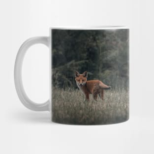 Red fox 2 Mug